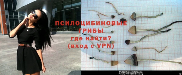 дмт Алексин
